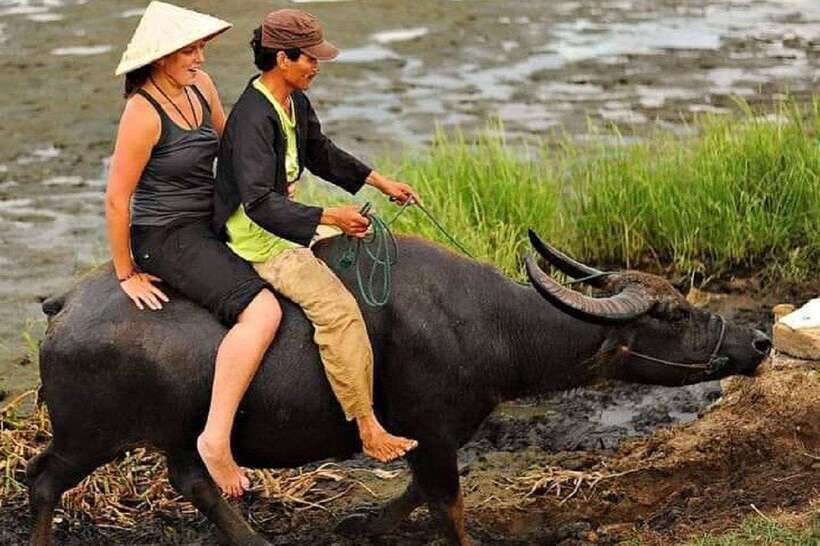 Hoi An Wet Rice Farming Tour-Basket Boat Tour Fishing-Lunch - Buffalo riding along the stream