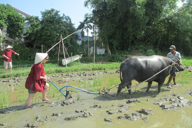 Hoi An Wet Rice Farming Tour Private Round Boat Fishing & Lunch - From Hoi An streets to working rice paddies