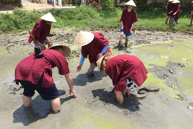 Hoi An Wet Rice Farming Tour Private Round Boat Fishing & Lunch - A short buffalo ride with a real farming purpose