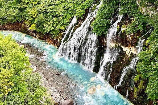 Hokkaido Farm Tomita Shikisai Hill Waterfall& Blue Pond Day Tour - Key points to know before you book