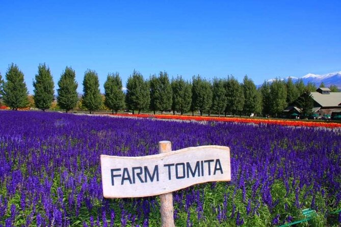 Hokkaido Farm Tomita Shikisai Hill Waterfall& Blue Pond Day Tour - A big Hokkaido day without changing hotels