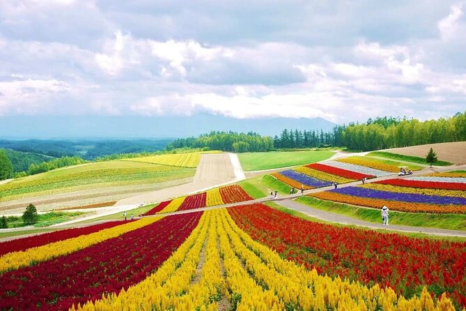 Hokkaido Farm Tomita Shikisai Hill Waterfall& Blue Pond Day Tour - One and a half hours at Shikisai-no-Oka