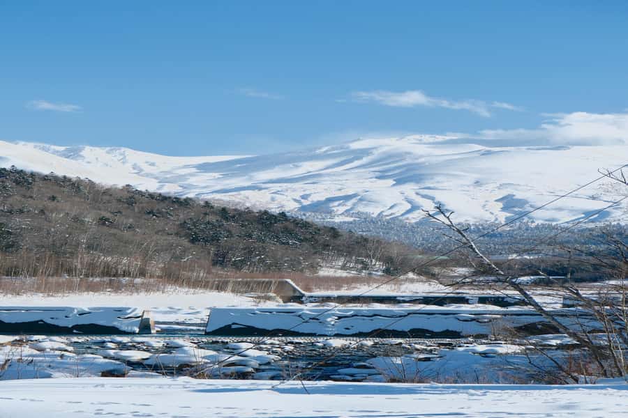 Hokkaido Lavender farm & Furano Flower Tour from Sapporo - A Furano lunch with a useful choice