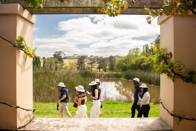 Honey Farm Tour. Morning Tea. Guided Tasting - Six honeys, six different characters