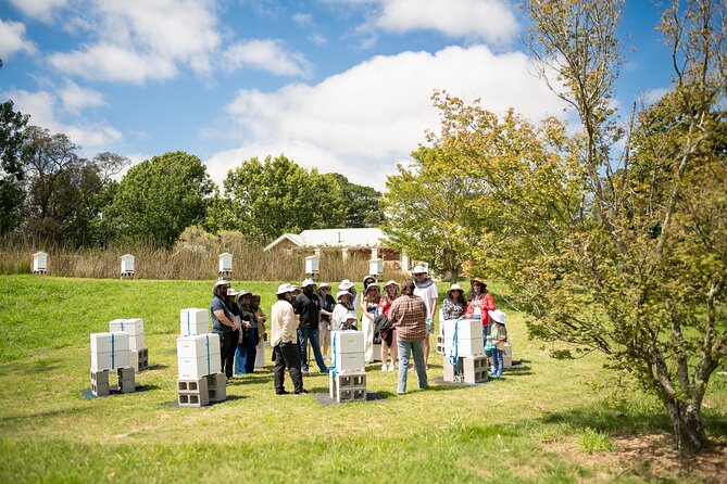 Honey Farm Tour. Morning Tea. Guided Tasting - Practical details before you book