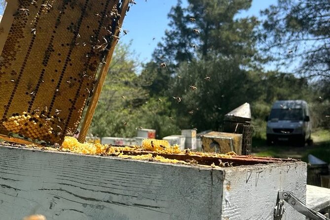 Honey production &Tasting experience " Areti Honey " - Key points to know before booking