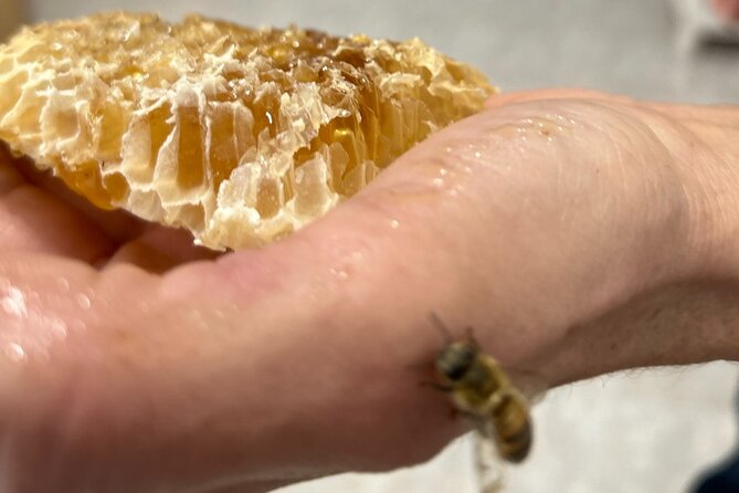 Honey production &Tasting experience " Areti Honey " - Fresh honey straight from the comb