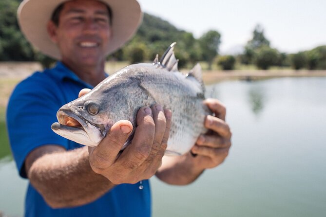 Hook-A-Barra Fishing and Farm Activity - Watching barramundi being hand-harvested