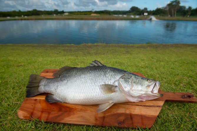 Hook-A-Barra Fishing and Farm Activity - Is $78.90 good value?