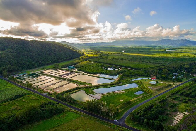 Hook-A-Barra Fishing and Farm Activity - Fishing the big Barra Pond