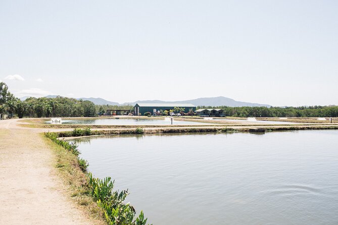 Hook-a-Barra Gourmet Farm Tour - Planning your morning at the farm