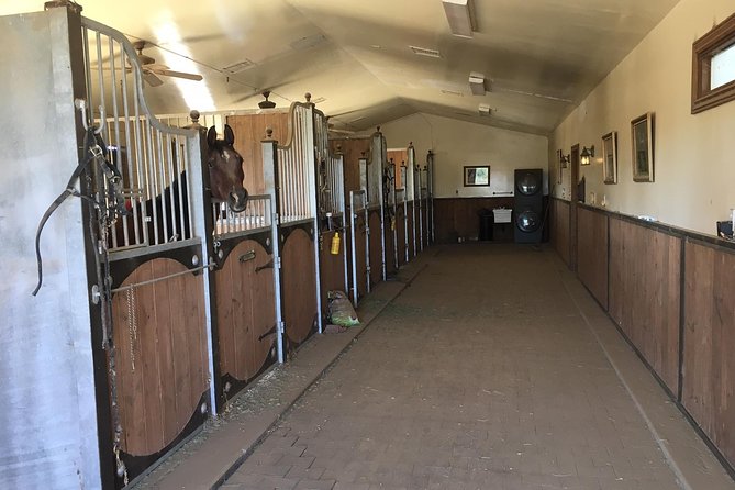 Horse Country Estate and Vineyard Wine Tasting Tour - The 9:30 a.m. Scottsdale Start