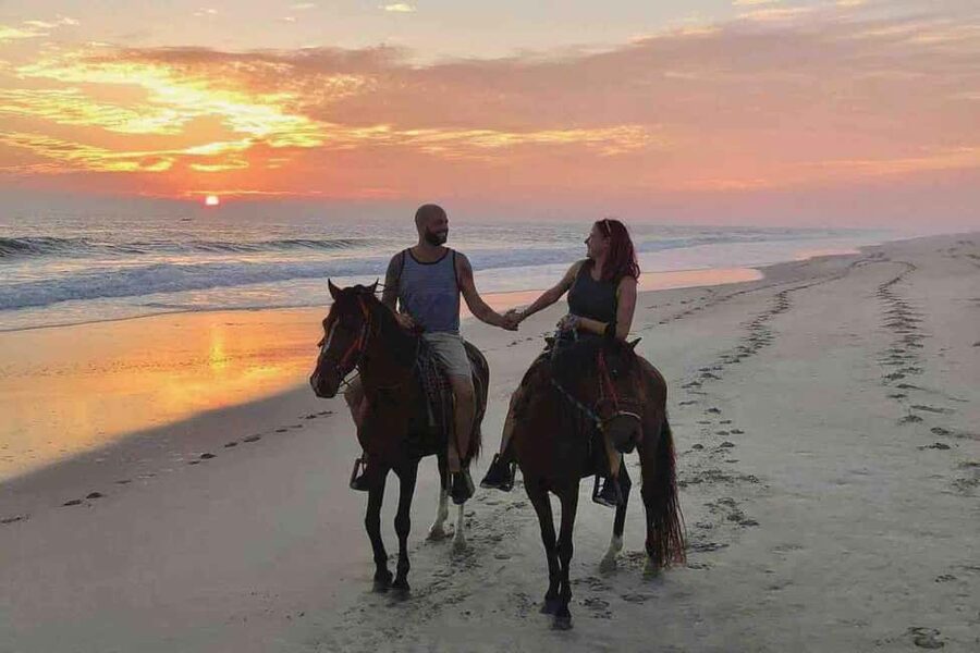 Horse Riding and Training Experience on a Farm in Antalya - A Good First Ride for Children and Beginners