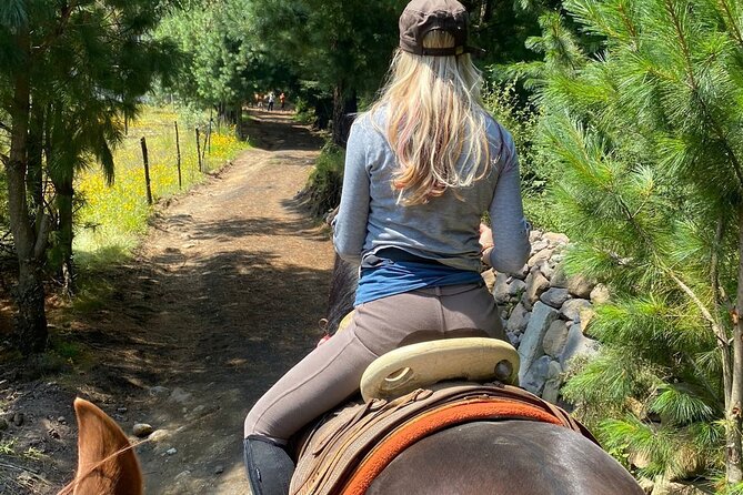Horseback, Culture & Mexican Flavors Experience - Leaving Roma Norte for the ranch country
