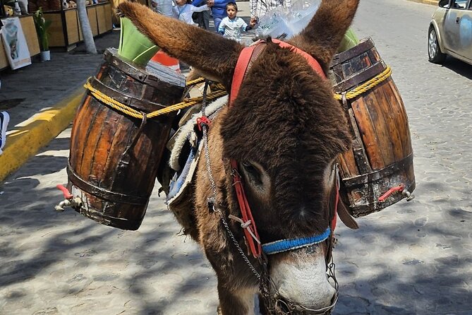 Horseback, Culture & Mexican Flavors Experience - Two hours on the Tepetlaoxtoc trails