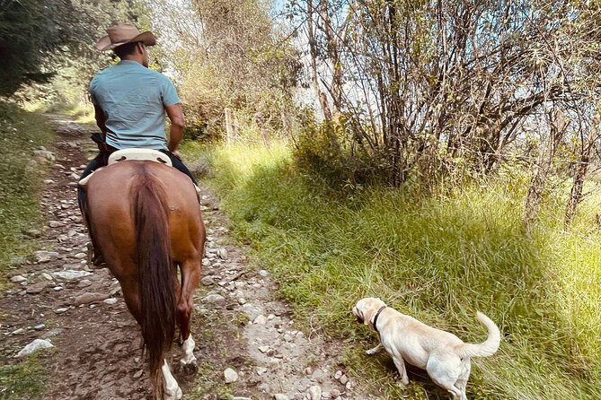 Horseback, Culture & Mexican Flavors Experience - Weather, timing, and what to bring