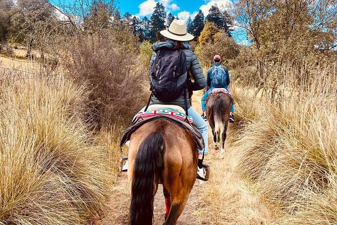 Horseback, Culture & Mexican Flavors Experience - Snacks, ranch life, and meeting the horses