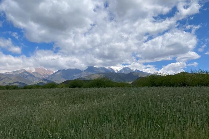 Horseback riding and barbecue in a private ranch - La Carrera, Mendoza - Private transportation from Mendoza