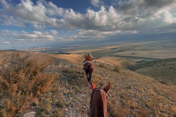 Horseback riding and barbecue in a private ranch - La Carrera, Mendoza - A calm ride for mixed riding abilities