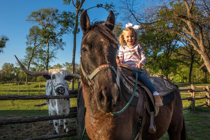 Horseback Riding on Scenic Texas Ranch near Waco - Why the horses matter as much as the view