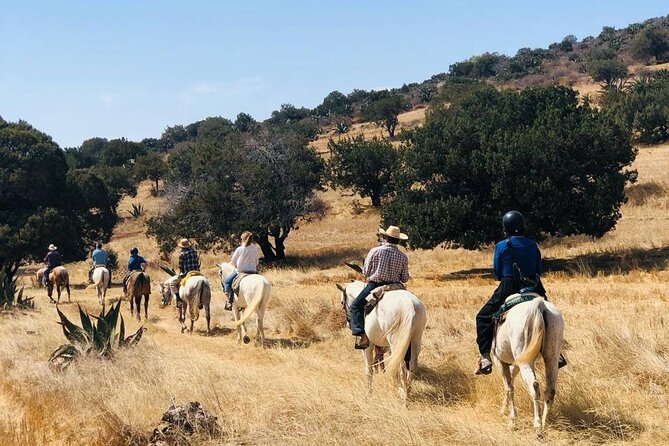 Horseback Riding through Mexican Haciendas - A full day beyond Mexico City