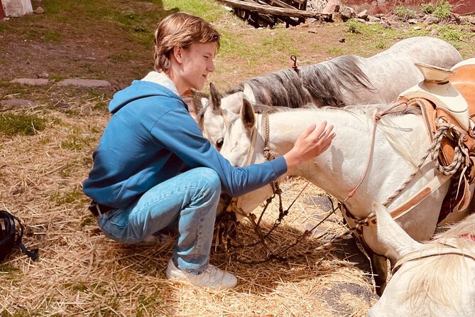 Horseback Riding through Mexican Haciendas - Is $160.84 a fair price?