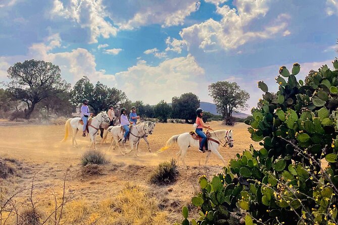 Horseback Riding through Mexican Haciendas - Who will enjoy this most?