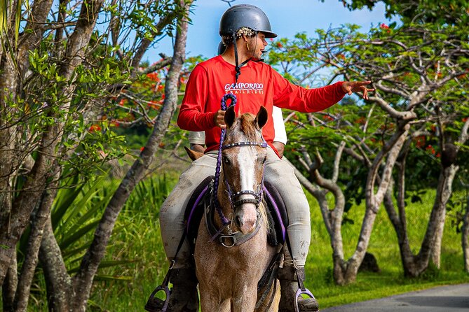 Horseback Riding Tour at Private Ranch - Getting matched with your Paso Fino