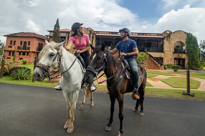 Horseback Riding Tour at Private Ranch - Two hours on trails, hills, and open views