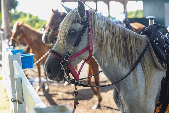 Horseback Riding Tour at Private Ranch - Guides who make the ride work