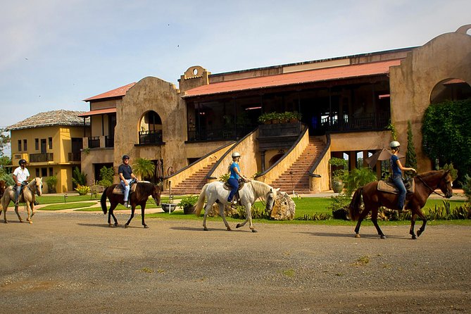 Horseback Riding Tour at Private Ranch - What you learn about Puerto Rico and Paso Finos