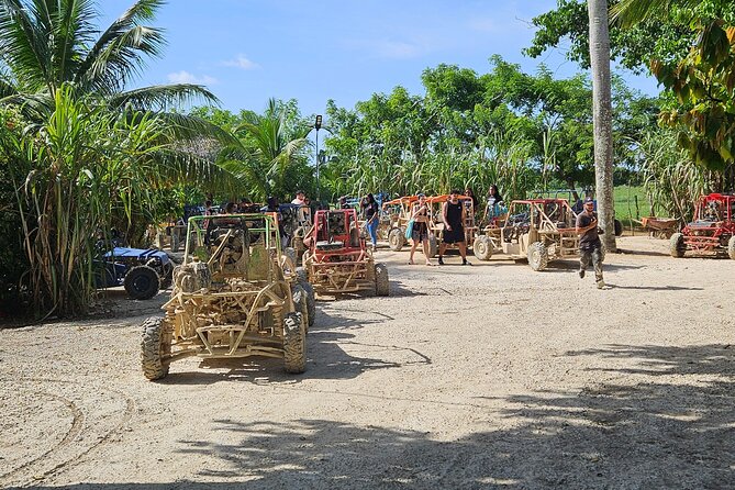 Horses, Buggy, and plantation in Chocaci Ranch - Key things to know before booking
