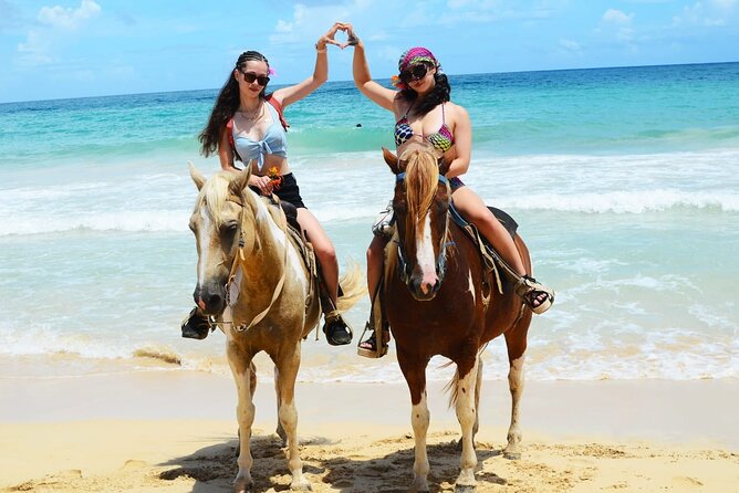 Horses, Buggy, and plantation in Chocaci Ranch - A farm visit instead of a resort-side tasting