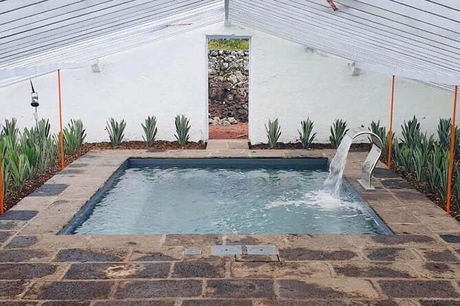 Hot Water Pool Bath Inside Pineapple Plantation & Dinner - Learning how São Miguel grows pineapples