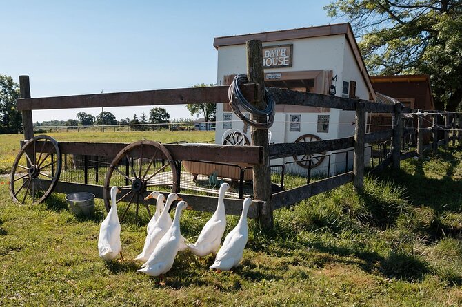 Humberstone Ranch Visit with Mini Domestic Animals - Key points at a glance