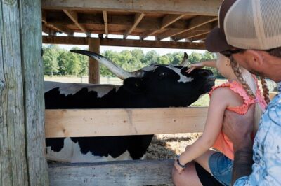 Humberstone Ranch Visit with Mini Domestic Animals