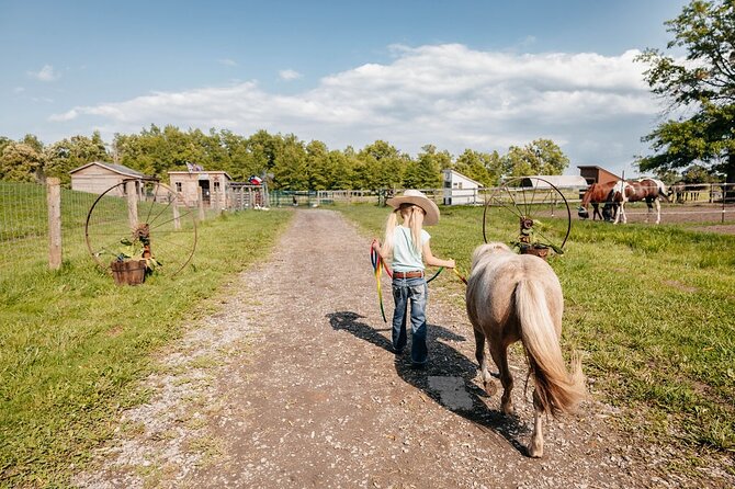 Humberstone Ranch Visit with Mini Domestic Animals - Why the hands-on format is worth the $15.01 price