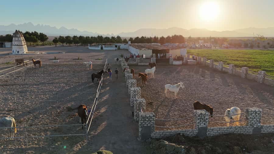 Hurghada: Desert Farm Tour with Breakfast at Scorpion Camp - From Hurghada to the Red Sea Desert