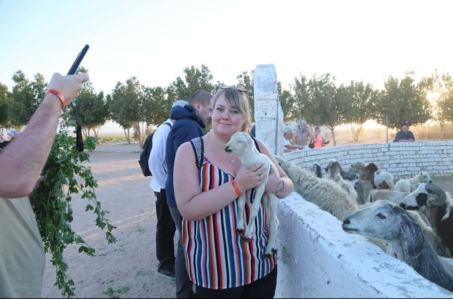 Hurghada: Desert Farm Tour with Breakfast at Scorpion Camp - Horse Care Before a Short Ride