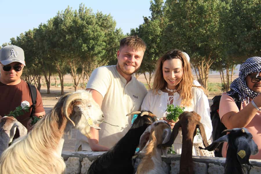 Hurghada: Desert Farm Tour with Breakfast at Scorpion Camp - Arriving at Scorpion Camp With Tea or Coffee