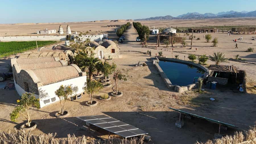 Hurghada: Jeep Safari, Tree Planting & Farm-to-Table Lunch - A 17 km jeep ride into the Red Sea desert