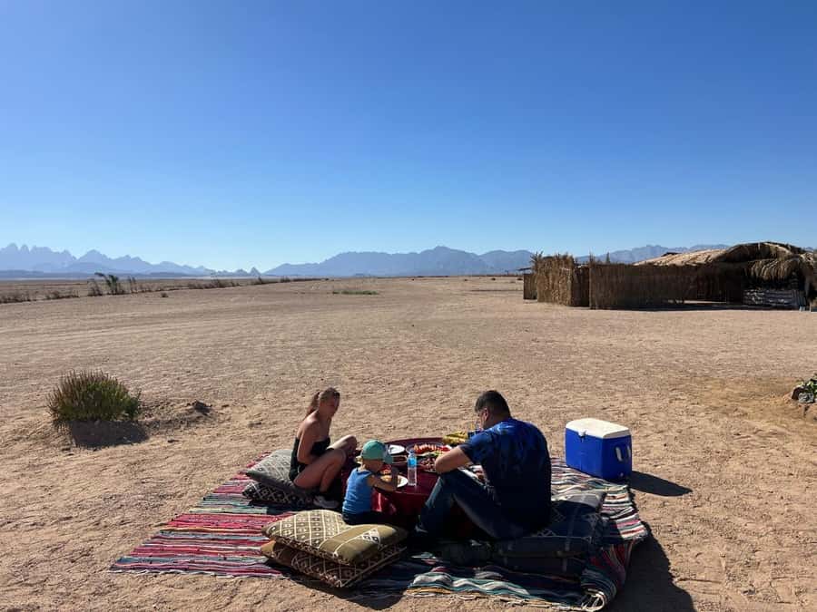 Hurghada: Jeep Safari, Tree Planting & Farm-to-Table Lunch - Learning how desert agriculture works