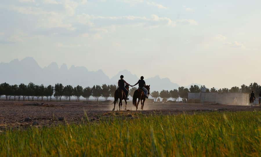 Hurghada: Jeep Safari, Tree Planting & Farm-to-Table Lunch - Planting a tree with your own name