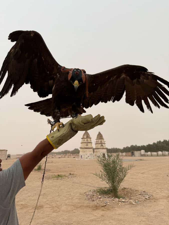 Hurghada: Jeep Safari, Tree Planting & Farm-to-Table Lunch - Walking through the farm and meeting its animals