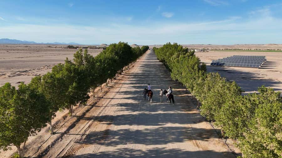 Hurghada: Jeep Safari, Tree Planting & Farm-to-Table Lunch - Gathering vegetables for a farm-to-table lunch