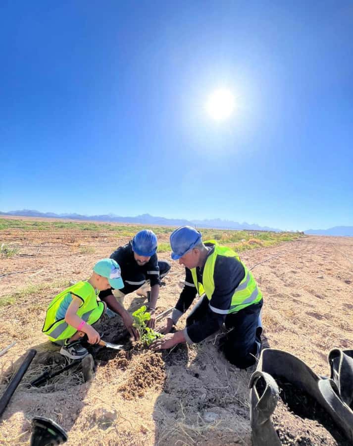 Hurghada: Jeep Safari, Tree Planting & Farm-to-Table Lunch - Tea, breakfast, and the story of the farm