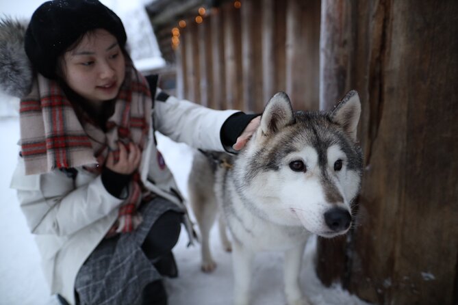 Husky and Reindeer farms visit with sleigh rides - Snow, wheels, and what to wear