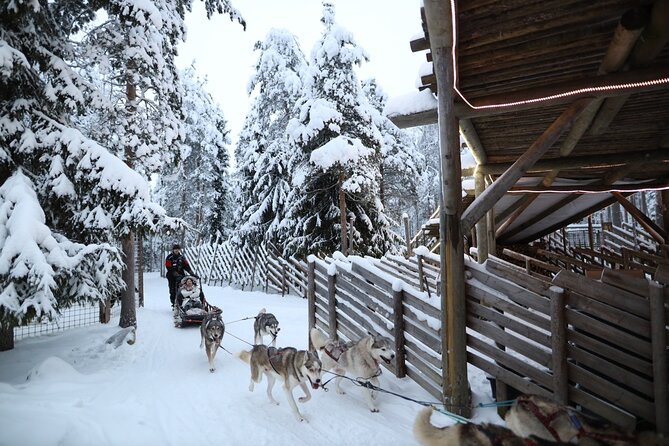 Husky and Reindeer farms visit with sleigh rides - Pickup, group size, and the morning schedule