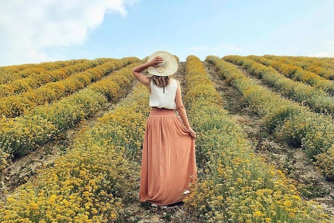 Immortelle farm island Krk - A one-hour farm visit with a local taste