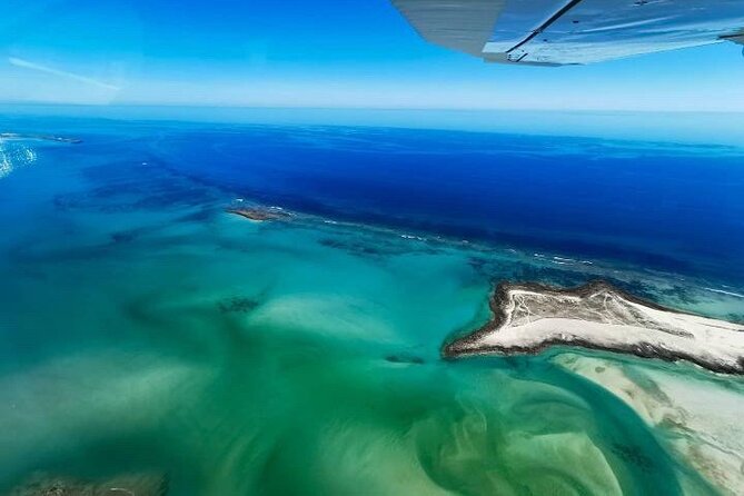 Incredible Islands Tour - Horizontal Falls & Cygnet Bay Pearl Farm - The pilot makes a real difference